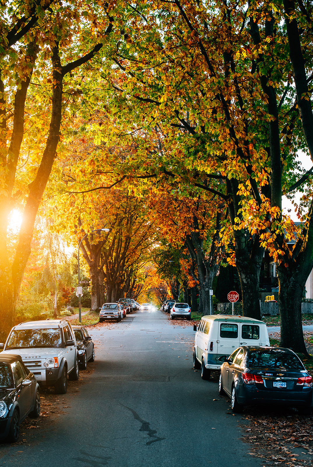 Autumn foliage in Vancouver